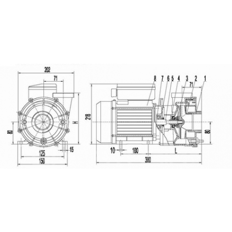 LX Vodní čerpadlo LP 1.85KW pro vířivky pro SPA - LP250 - Napojení na přírubu 60mm